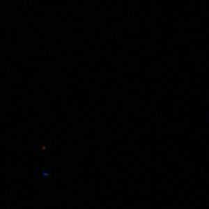 Meet your Posher, Nathan